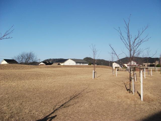 スポットの写真