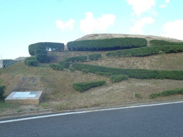 スポットの写真