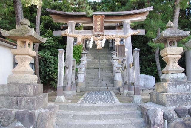 スポットの写真