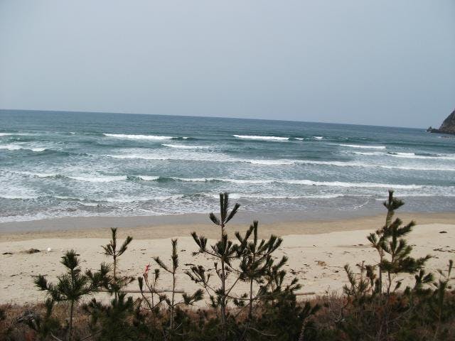 磯釣り（陸上海岸）