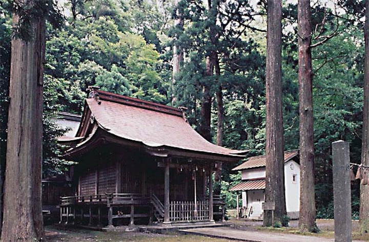 虫井神社