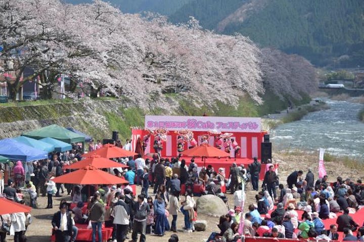 【2021年中止】智頭河畔桜カフェフェスティバル