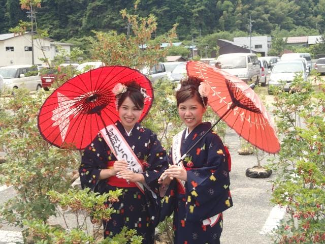 【中止】智頭どうだんまつり