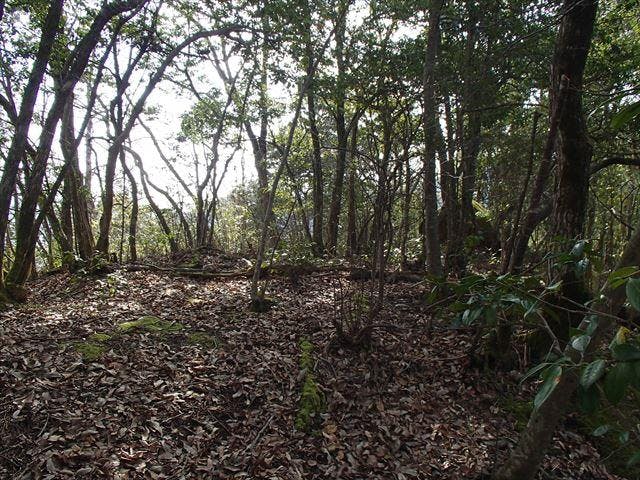 私部城（市場城）跡