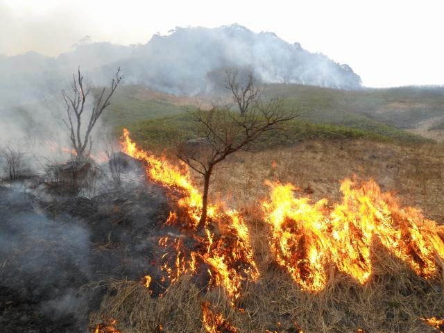船上山の山焼き