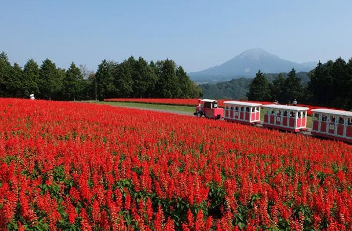 オータムフェスティバル