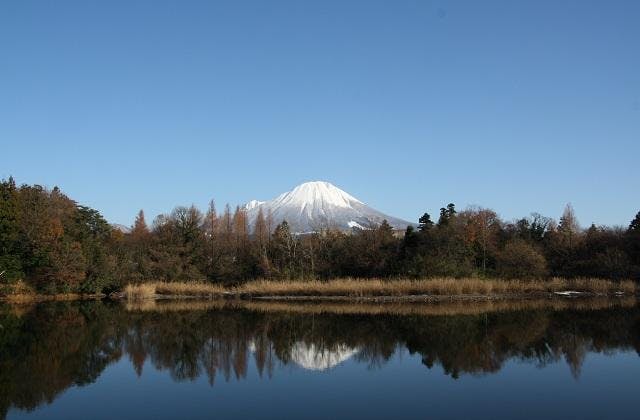 スポットの写真