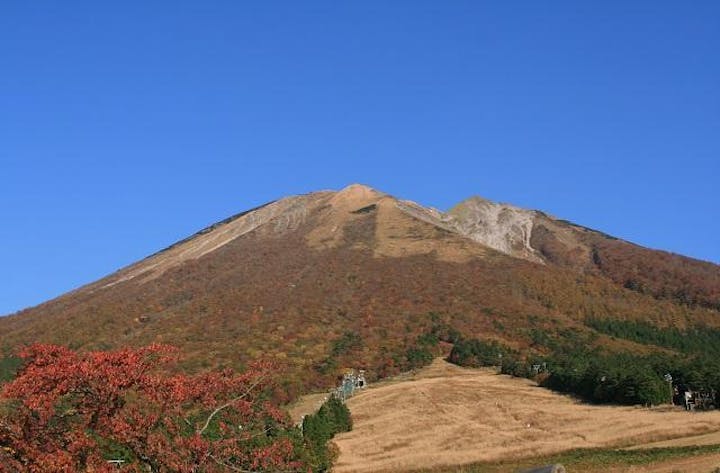 桝水高原の紅葉