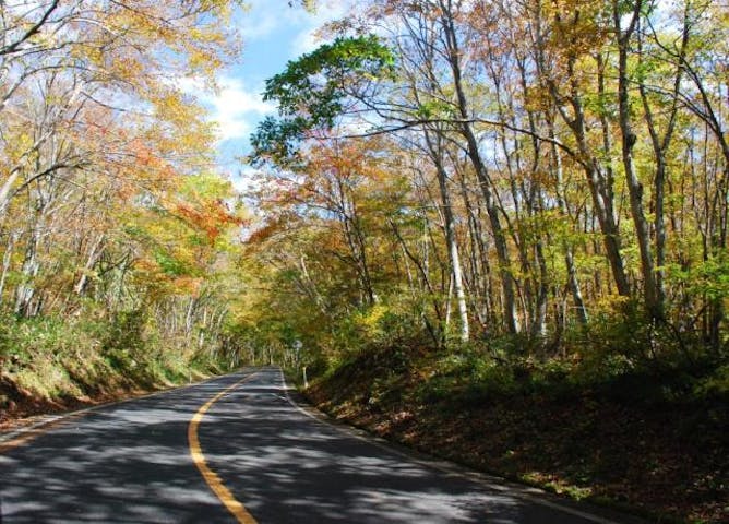 大山寺〜三の沢ハイキングコース