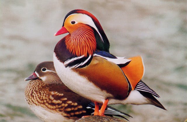 スポットの写真