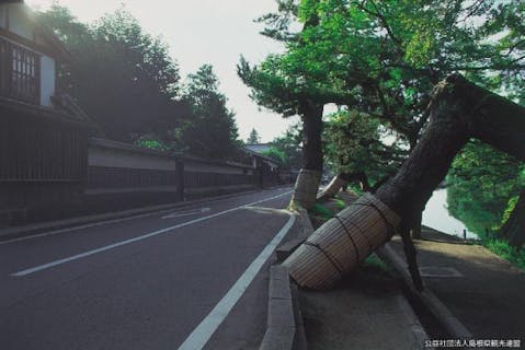 横綱陣幕久五郎顕彰碑 アソビュー