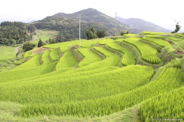 スポットの写真