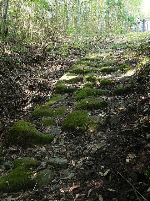 スポットの写真