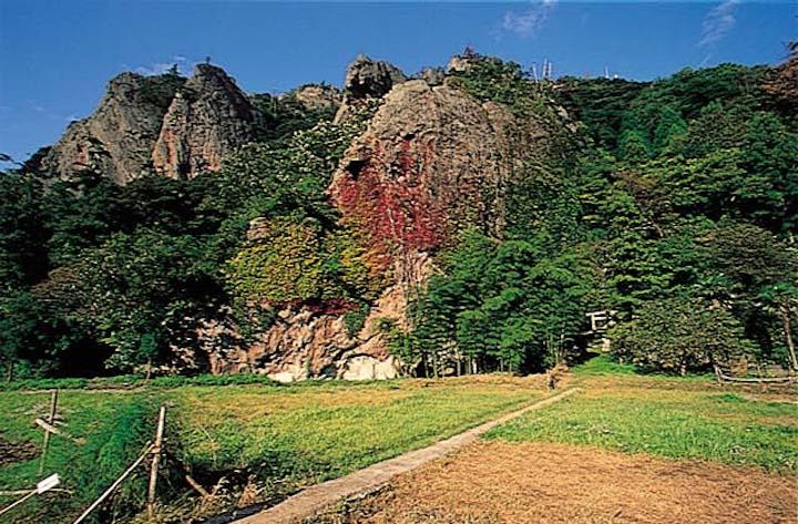 龍巌山のノウゼンカズラ