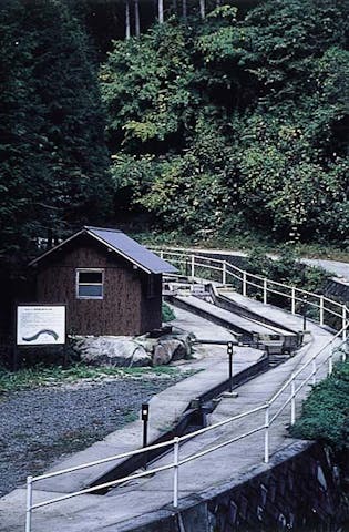 羽内谷鉱山鉄穴流し本場