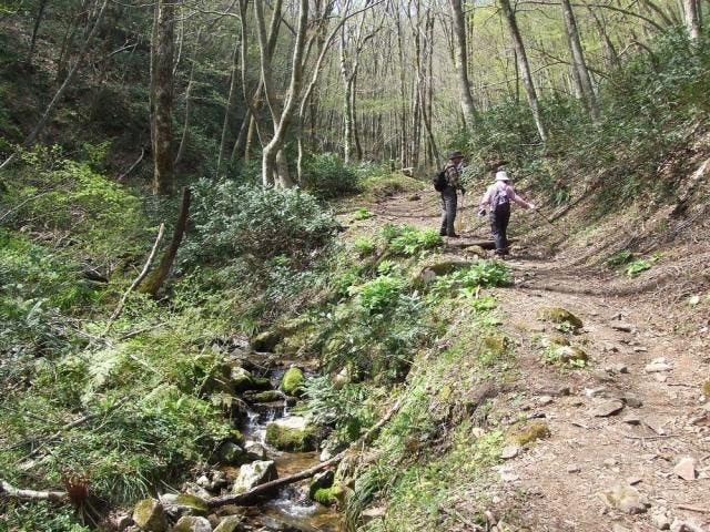船通山登山コース