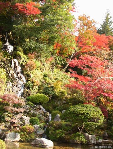 重要文化財　櫻井家　日本庭園