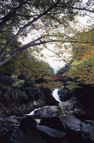 千丈渓探勝自然歩道コース