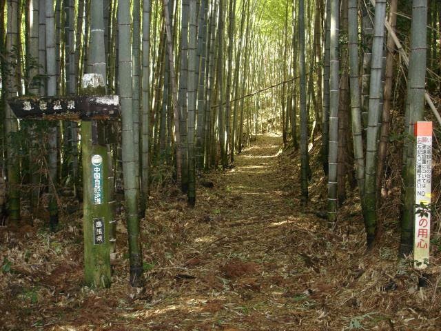 石見銀山街道やなしお道
