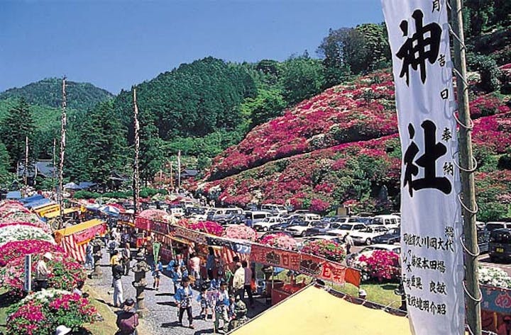 【開催中止】三隅のつつじ祭り