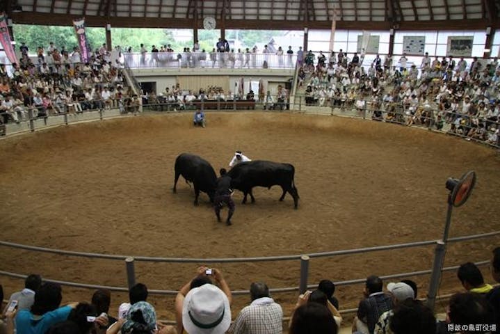 【2021年開催中止】牛突き夏場所大会
