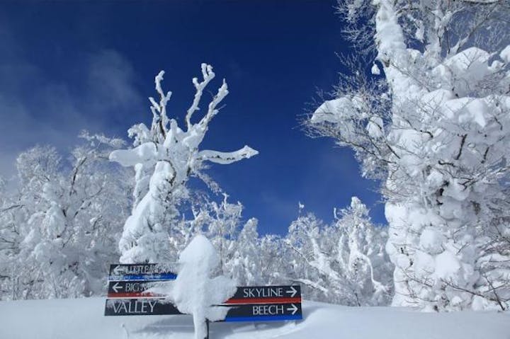 瑞穂ハイランドスキー場