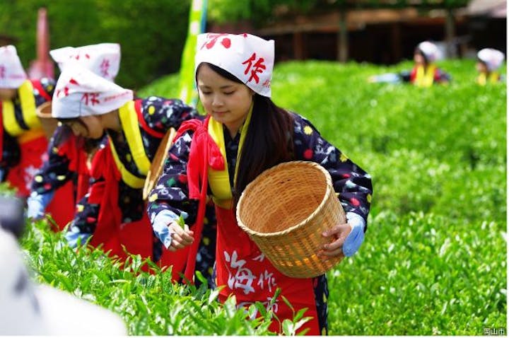 【中止】茶つみ祭（岡山市）