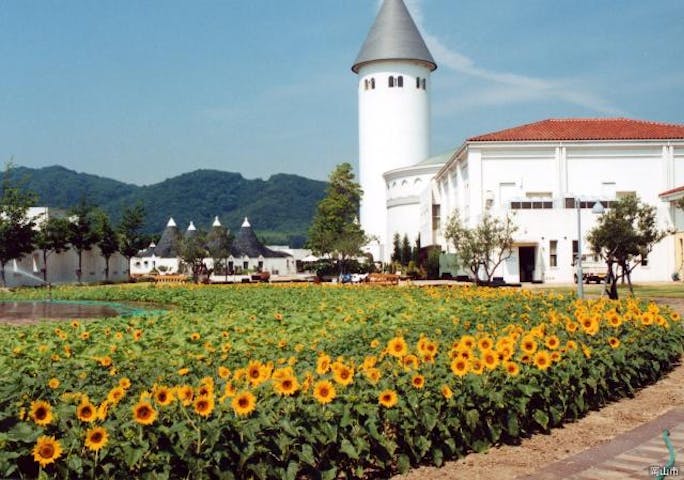 岡山市サウスヴィレッジ