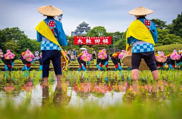 後楽園のお田植え祭