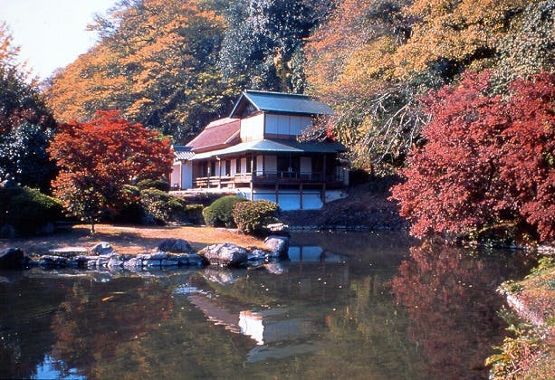 スポットの写真