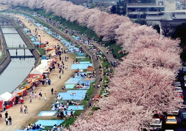 スポットの写真