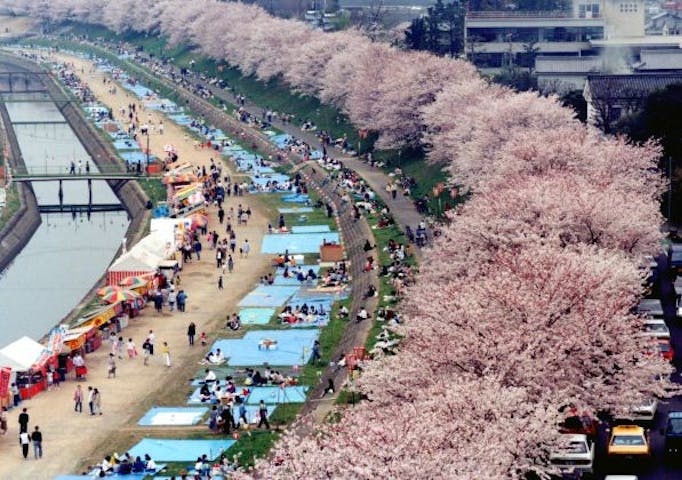 【2021年開催中止】岡山さくらカーニバル