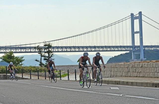 スポットの写真