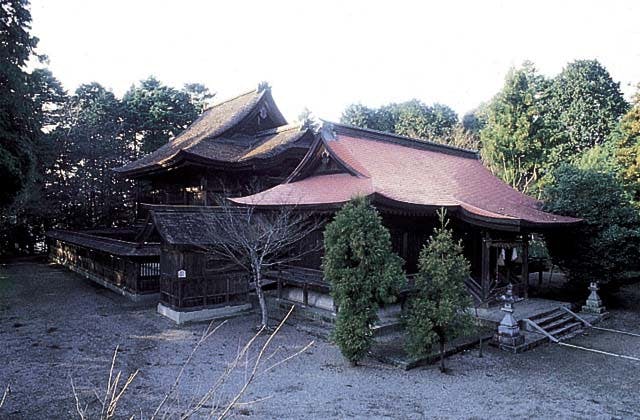 スポットの写真