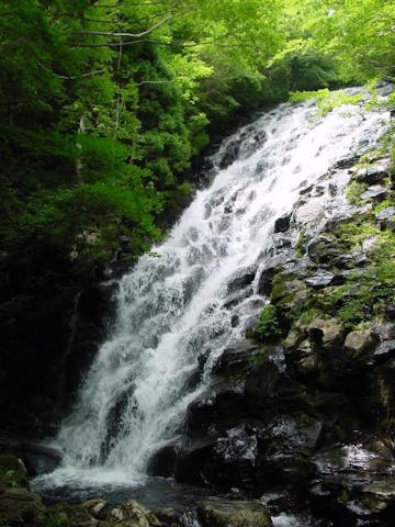 黒岩高原遊歩道