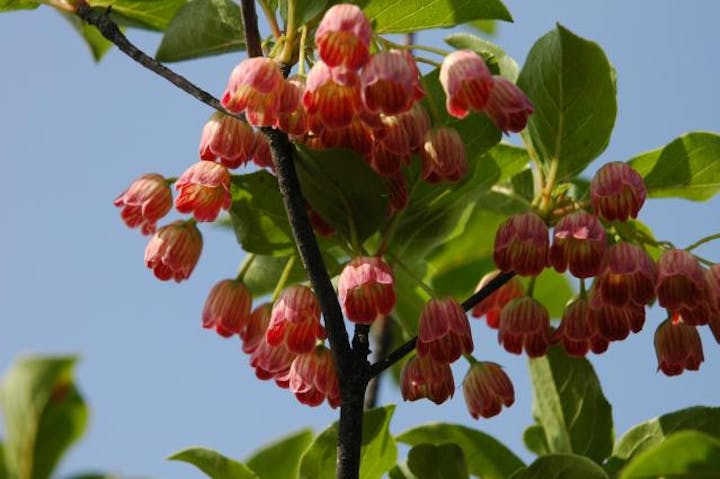 広戸仙(爪ケ城)