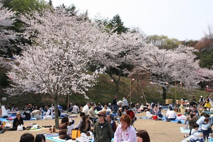 【2021年開催中止】深山さくらまつり