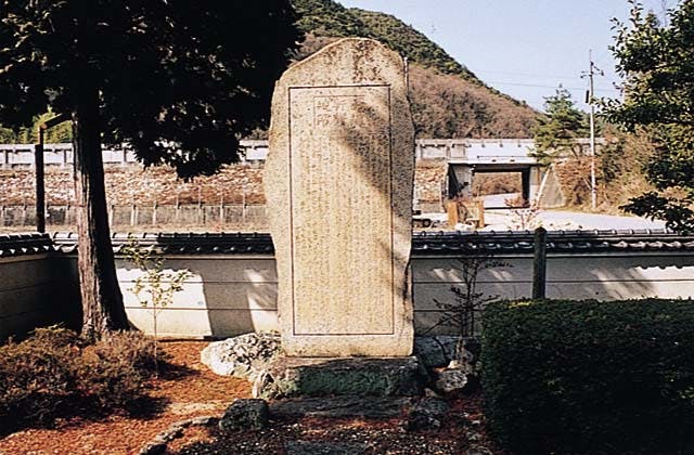 スポットの写真