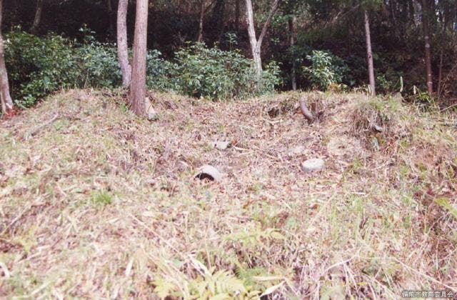 スポットの写真