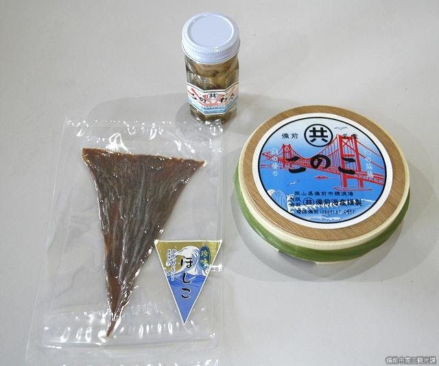 スポットの写真