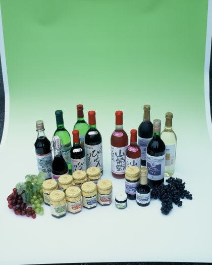 スポットの写真