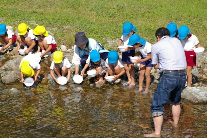 湯郷温泉街（大谷川）のホタル