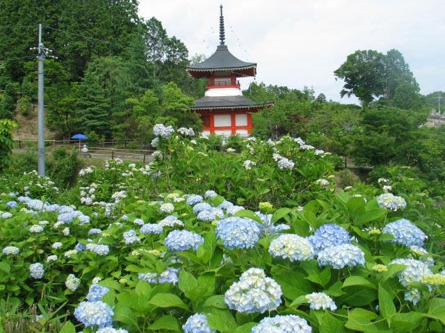 別格本山大聖寺