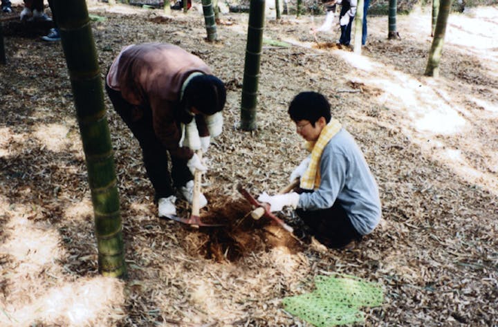 真備町観光たけのこ園