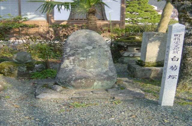 スポットの写真