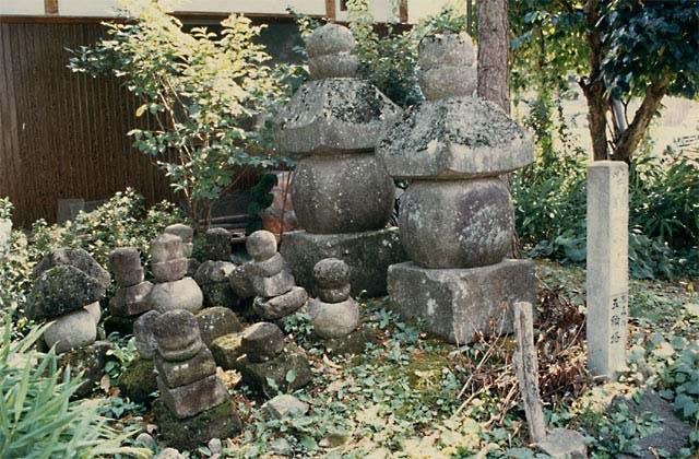 スポットの写真