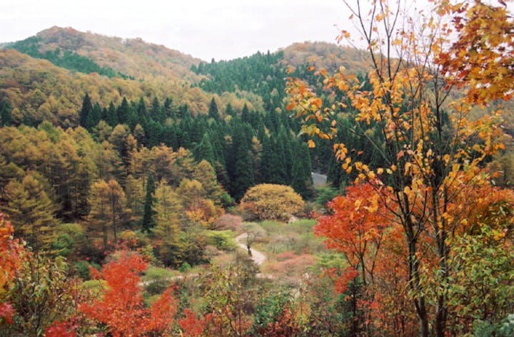 岡山県立森林公園