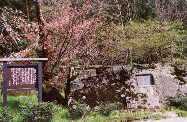 スポットの写真