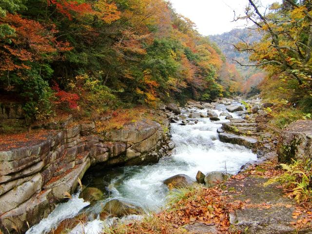 鏡野町（苫田郡） 河川景観の遊び体験｜【アソビュー！】休日の便利でお得な遊び予約サイト