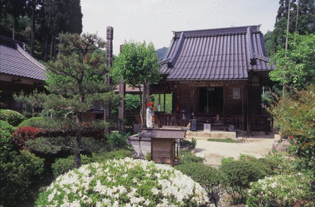 スポットの写真